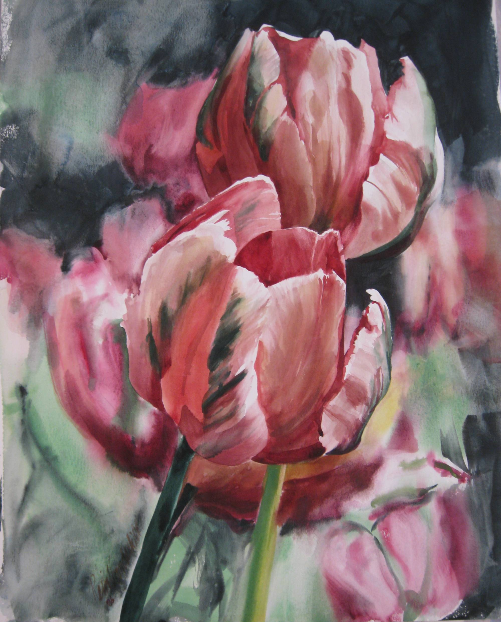 Watercolor painting of red and black tulips against a dark background.